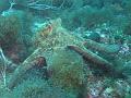 IMG_4501 r1